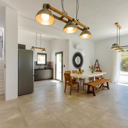 Paros Villa Blue Senses Alikí Exterior foto